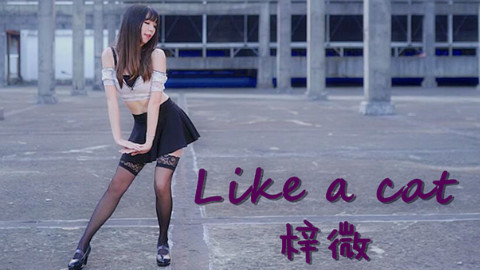 【梓微】AOA-Like a cat(黑丝高跟天台play)